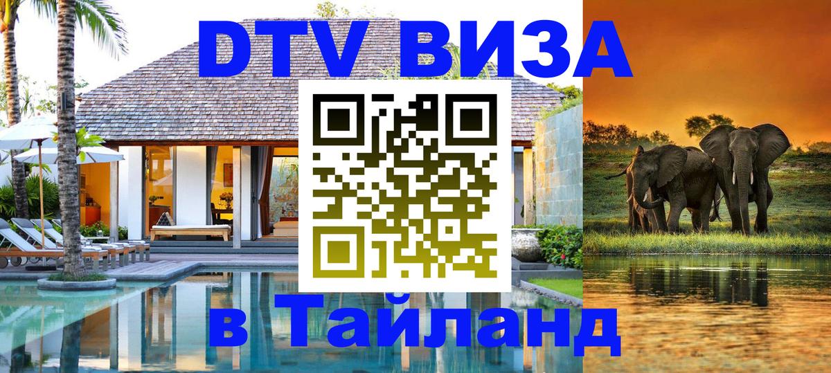 Оформление DTV визы под ключ: стоимость и тарифы, только загранпаспорт - Назрань  19.11.2025 